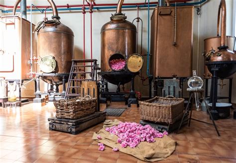 molinard perfume factory grasse